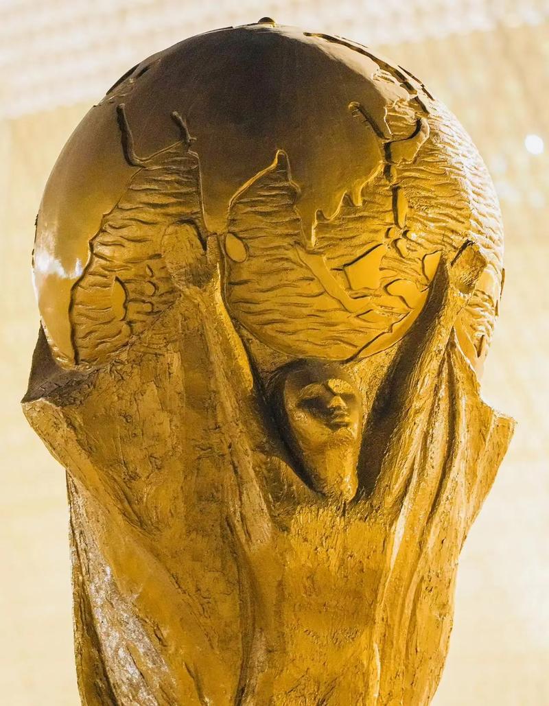 用户张先生使用体验