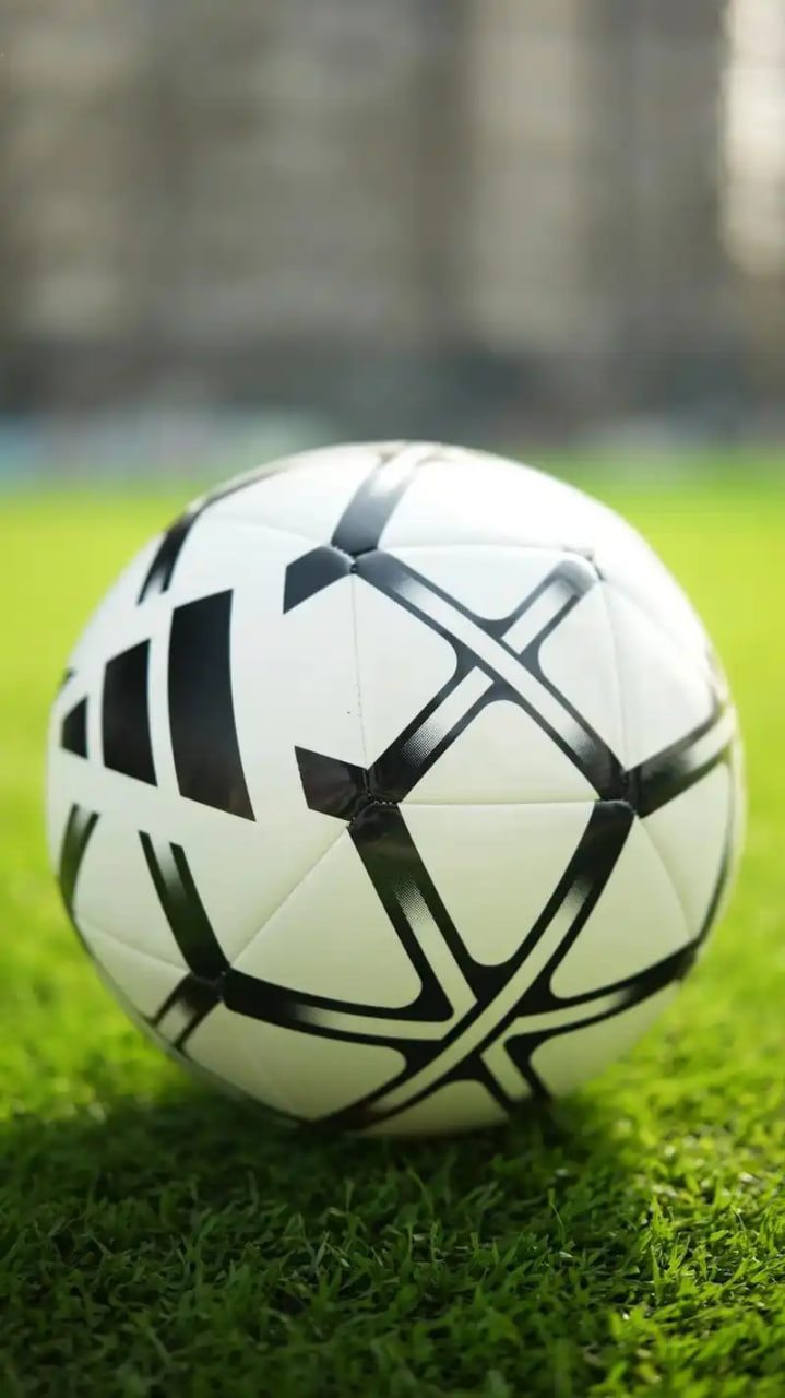 专家团队解读与分析