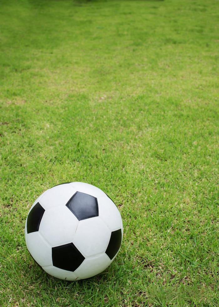 用户王同学学习成长经历